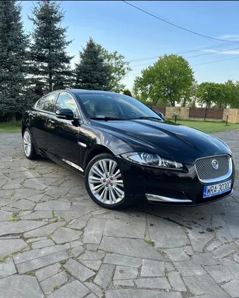 jaguar Jaguar XF cena 67900 przebieg: 130000, rok produkcji 2014 z Koronowo